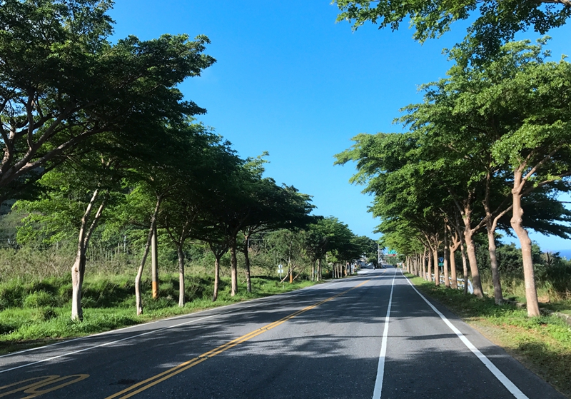 台湾东线骑游记(2) 台湾东线骑游记(2)