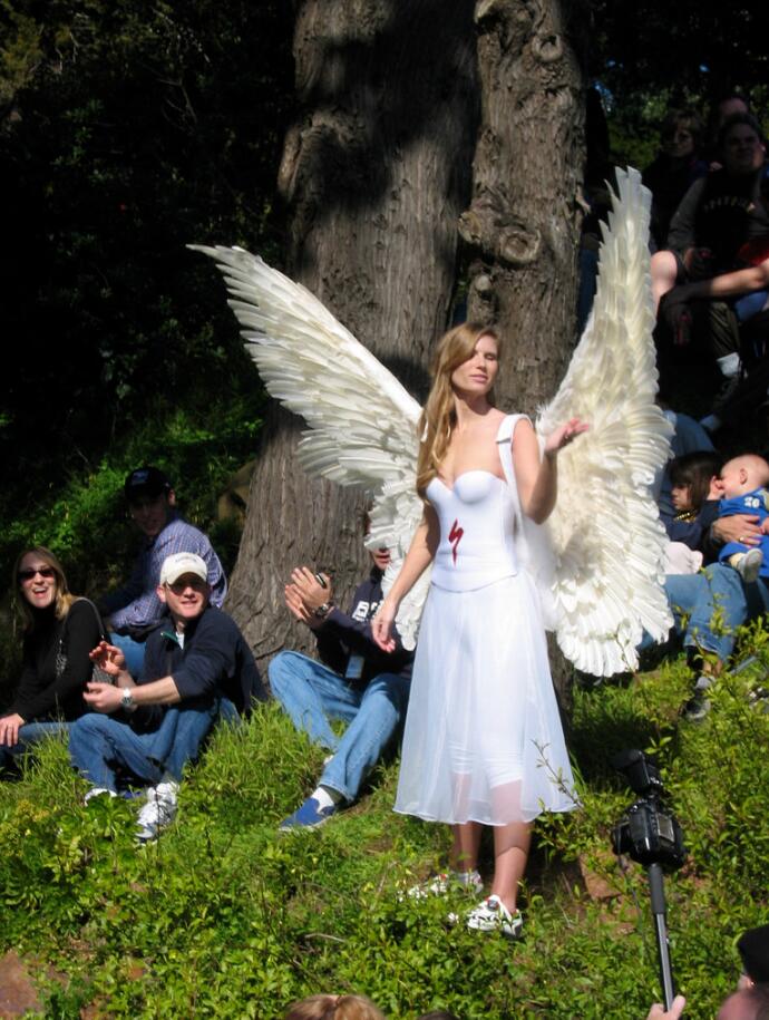 specialized angel