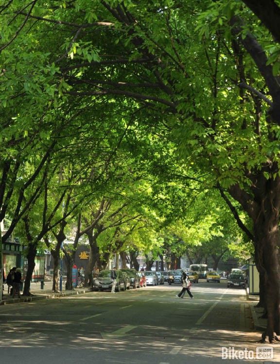 逢源路翠阴蔽日（by四方竹）《城市骑游丨春天里骑行广州，一定要去的8个地方》.jpg