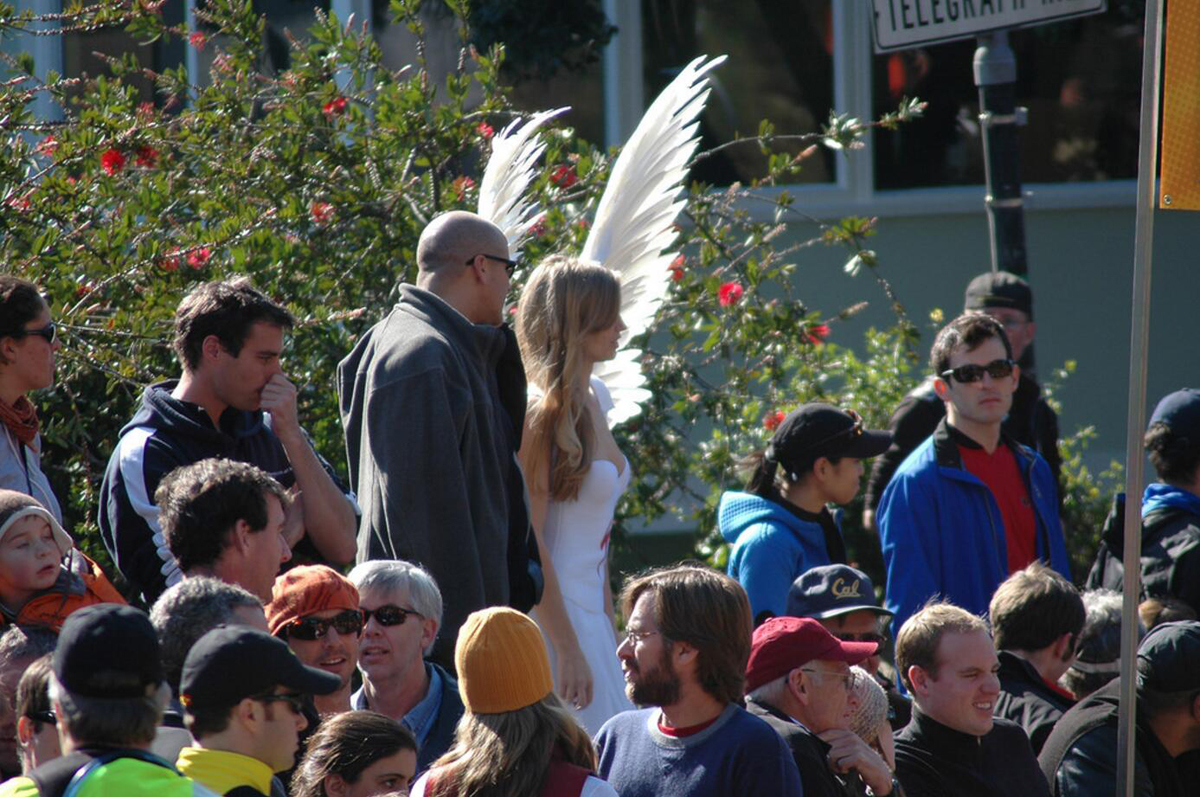 specialized angel